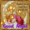 Good Night! Pleasant dreams and may you have a good night sleep