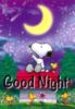 Good Night - Snoopy