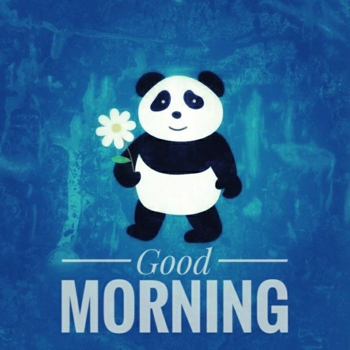 Good Morning - Panda