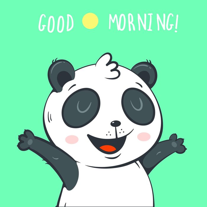 Good Morning - Panda