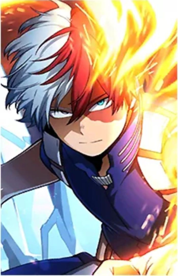 My Hero Academia Shoto Todoroki