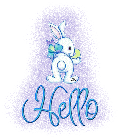 Hello White Rabbit