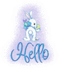 Hello White Rabbit