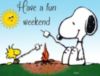 Have A Fun Weekend - Snoopy