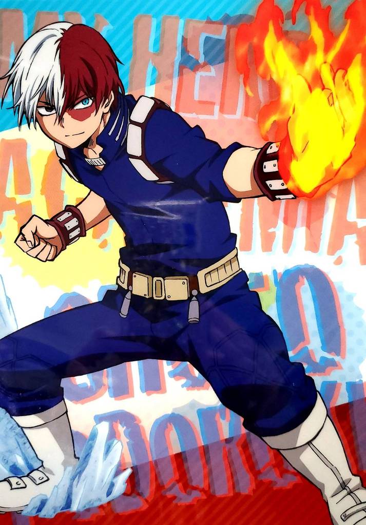 My Hero Academia Shoto Todoroki