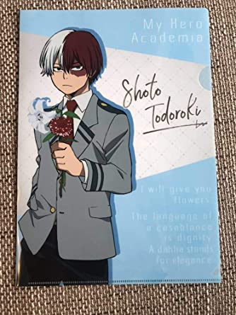 My Hero Academia Shoto Todoroki