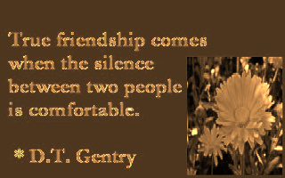 True Friendship Comes When The Silence Between Two People Is Comfortable