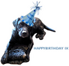 Happy Birthday Dog With Blue Hat