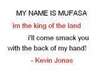 My Name Is Mufasa Jonas