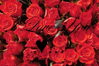 Love You Red Roses