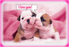 I Love You! Puppies