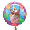Funny Birthday Cat