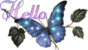 Hello Blue Butterfly