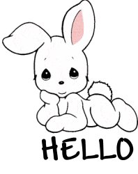 Hello Bunny