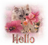 Hello Cat Flowers