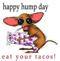 Happy Hump Day
