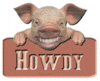 Howdy Pigy