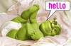 Hello From Shrek
