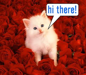 Hi There Kitty Red Roses