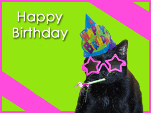 Happy Birthday! -- Black Cat 