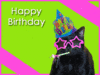 Happy Birthday! -- Black Cat 