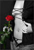 Hot Girl Red Rose