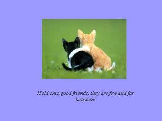 Hold Onto Good Friends, They Are Few And Far Between