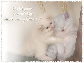 I Hold Your Friendship Close To My Heart