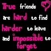 True Friends Are Hard To Find Harder To Leave And Impossible To Forget