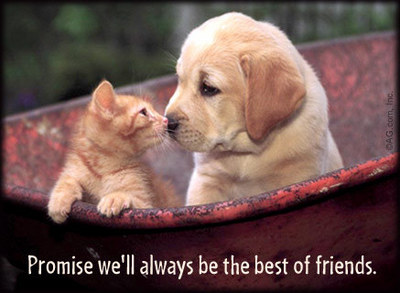 Promise We'll Always Be The Best Of Friends