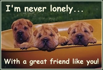 I'm Never Lonely With A Great Freind Like You!