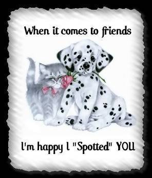 When It Comes To Friends I'm Happy I Spotted You