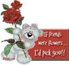 If Friends Were Flowers I'd Pick You!