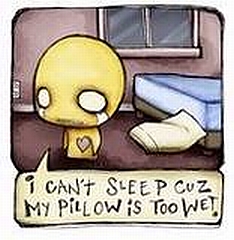 I Can't Sleep Cuz My Pillow Is Too Wet - Pon And Zi