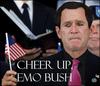 Cheer Up Emo Bush