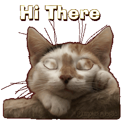 Hi There Animated Cat