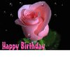 Happy Birthday -- Pink Rose