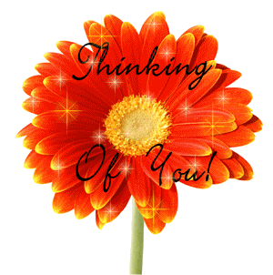 Thinking Of You! Flower Orange