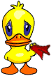 Bye Duck