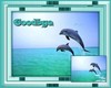 Goodbye Dolphin
