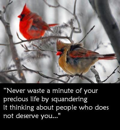 Never Waste A Minute Of Your Precious Life By Squeandering It Thinking About People Who Does Not Deseve You