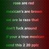 True Mexican Chain Comment