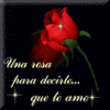 Una Rosa Para Decirle Que Te Amo