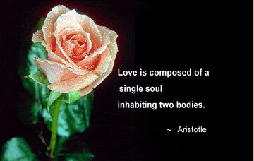 Love Is Composed Of A Single Soul 