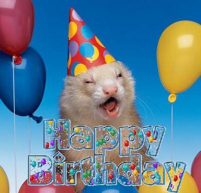 Happy Birthday Rat