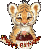 Happy Birthday Tiger Cake