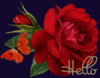 Hello Nice Red Rose