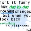 Isnt It Funny How Day By Day Nothing Changes But When You Look Back Everything Is Different