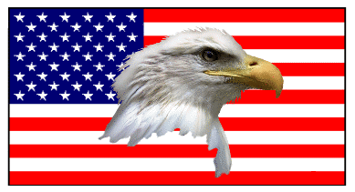 Bald Eagle & Flag