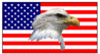 Bald Eagle & Flag